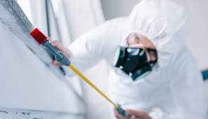 Best Emergency Pest Control  in Southfield, MI